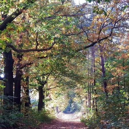 Vakantiehuis Op Rustig Bospark Veluwe Вортхёйзен Экстерьер фото