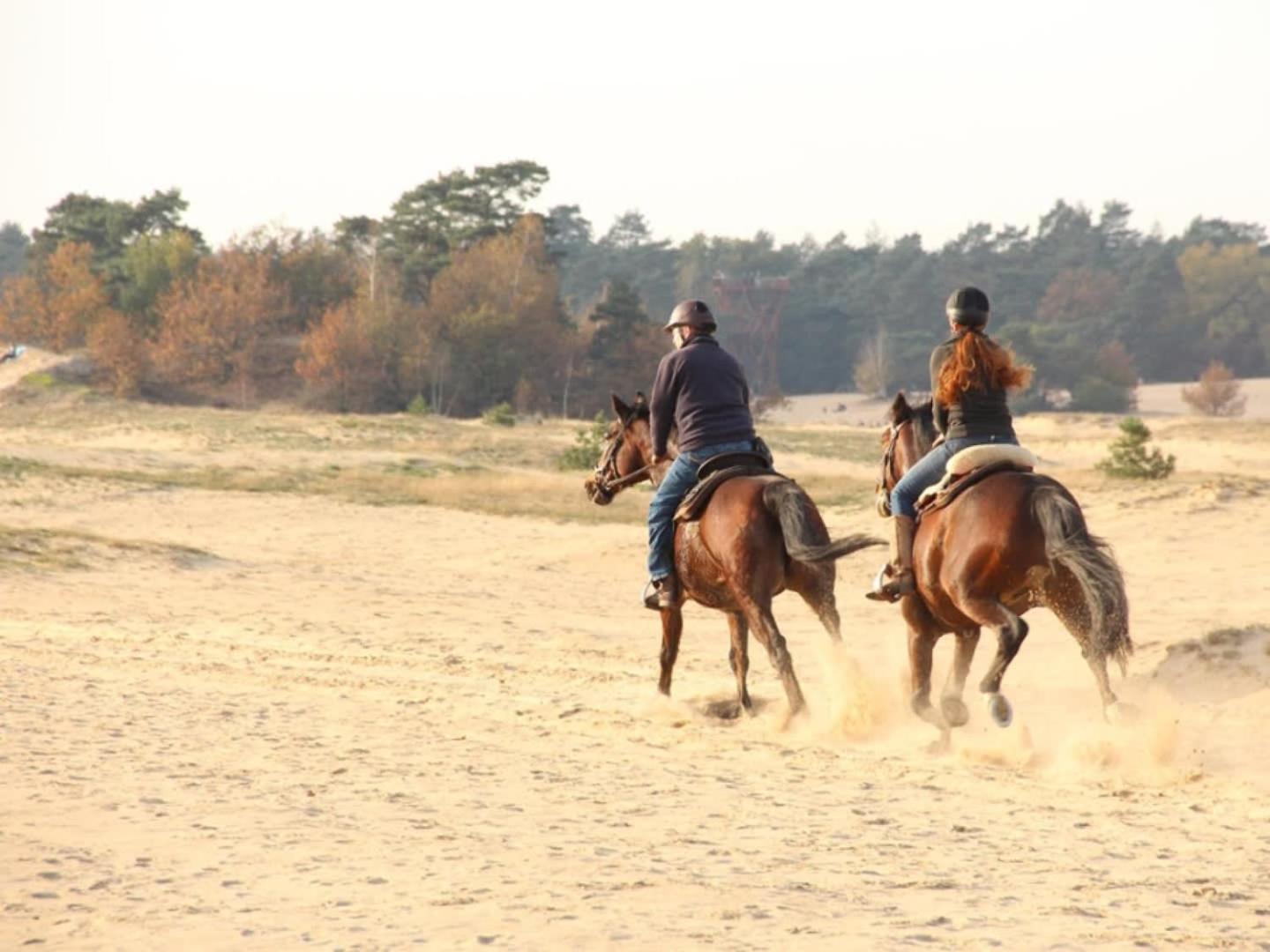 Vakantiehuis Op Rustig Bospark Veluwe Вортхёйзен Экстерьер фото