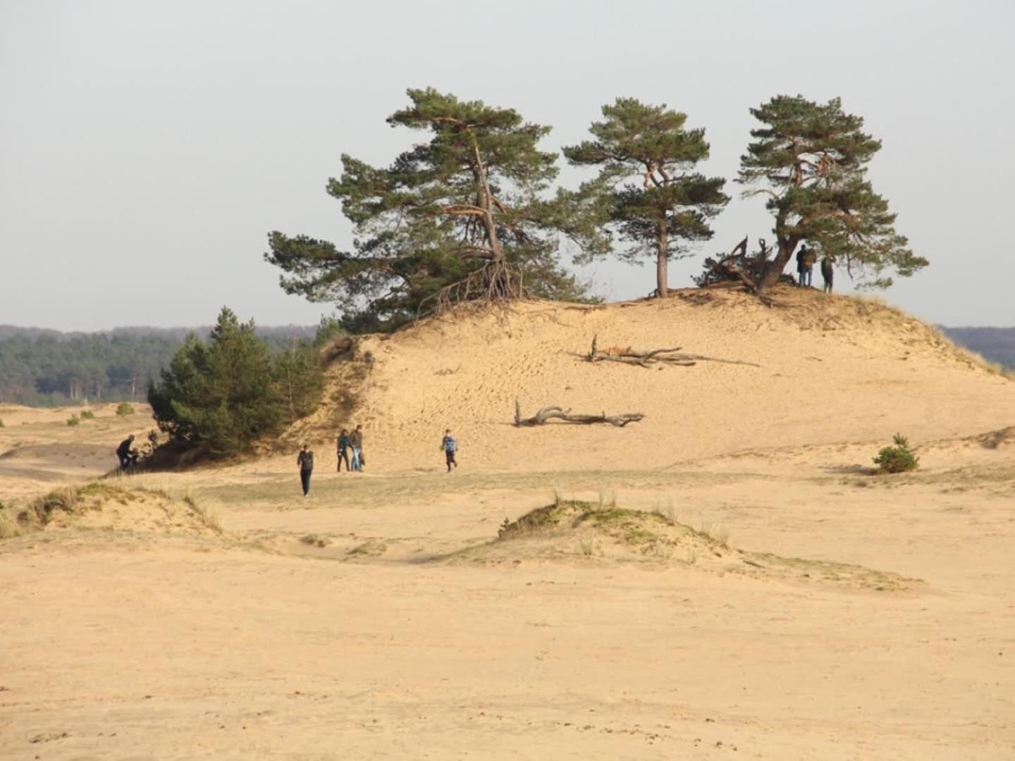 Vakantiehuis Op Rustig Bospark Veluwe Вортхёйзен Экстерьер фото