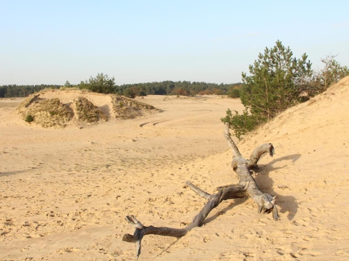 Vakantiehuis Op Rustig Bospark Veluwe Вортхёйзен Экстерьер фото