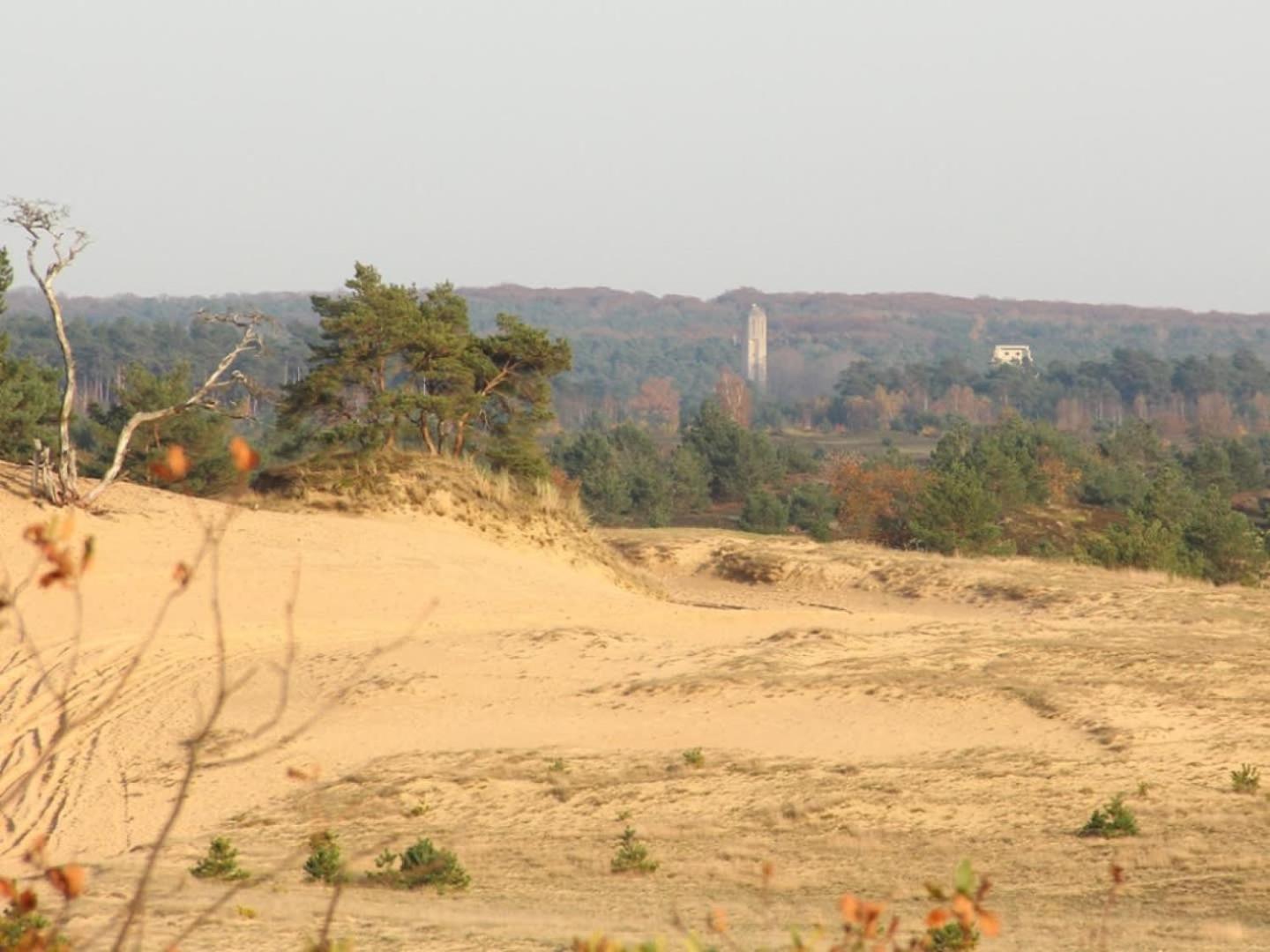 Vakantiehuis Op Rustig Bospark Veluwe Вортхёйзен Экстерьер фото