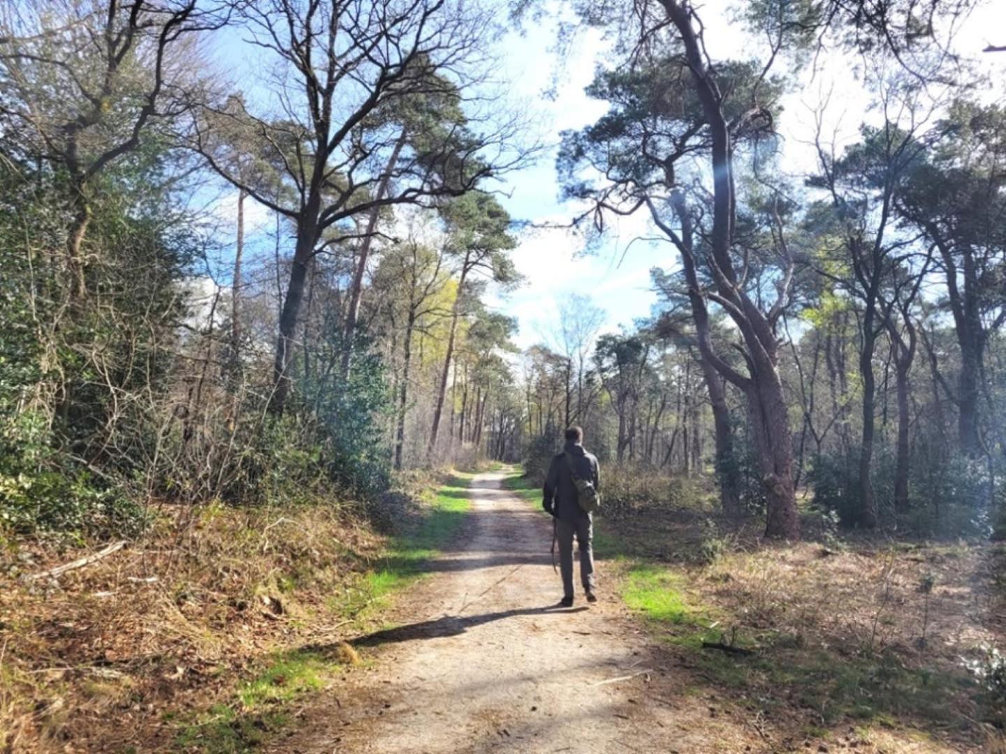 Vakantiehuis Op Rustig Bospark Veluwe Вортхёйзен Экстерьер фото